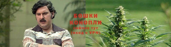 стафф Верея
