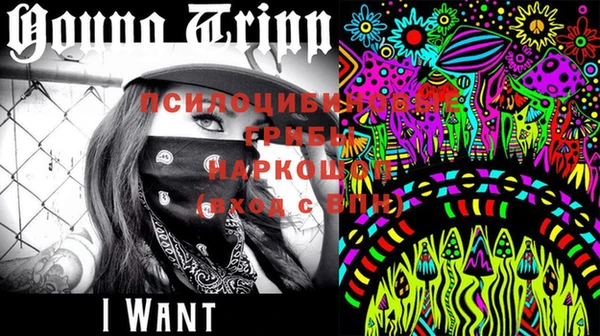 стафф Верея