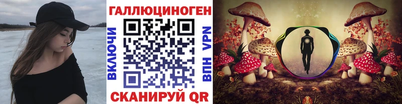 Купить закладки  Александровск-Сахалинский  Псилоцибиновые грибы Magic Shrooms 